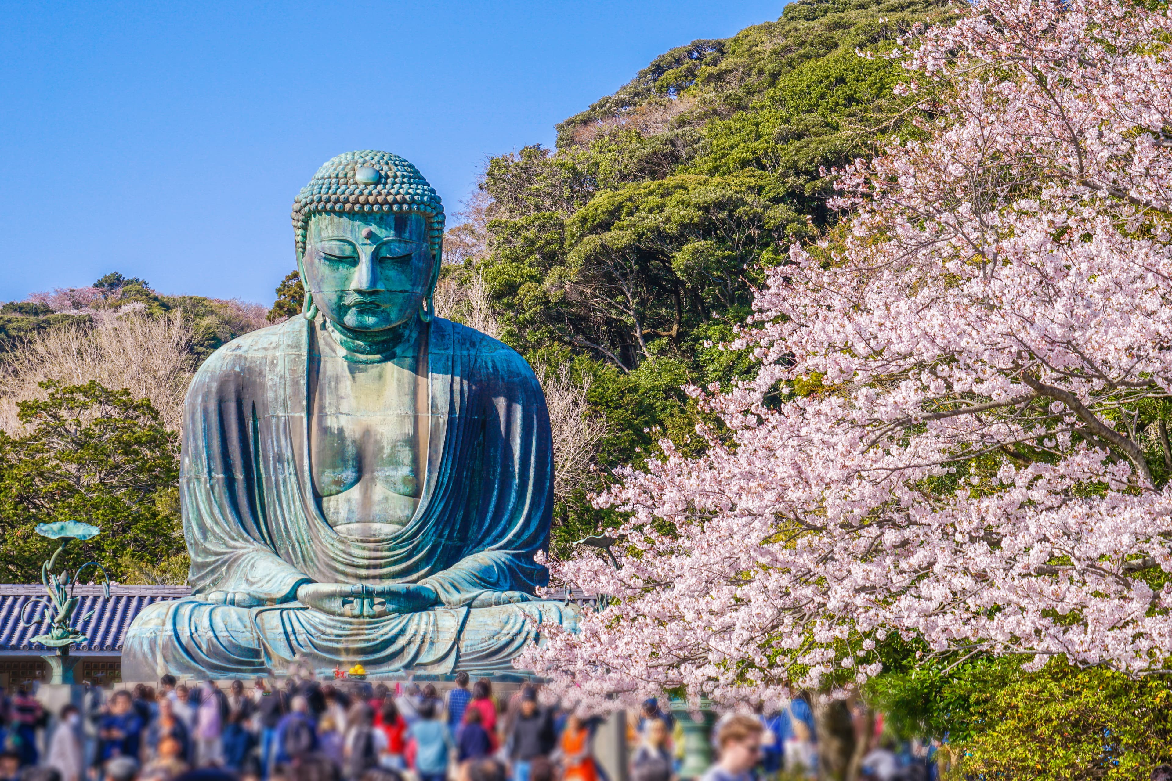 高徳院(鎌倉大仏)